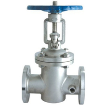 Insulation gate valve